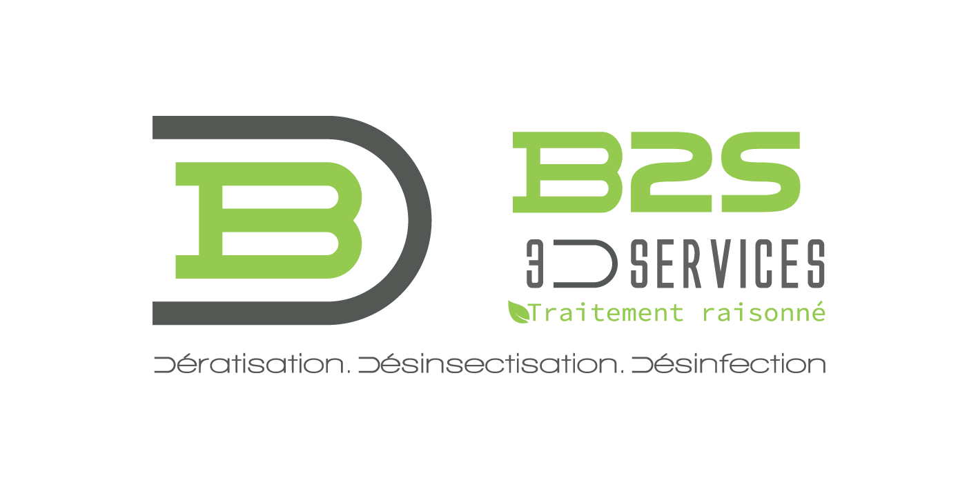 B2S-3D