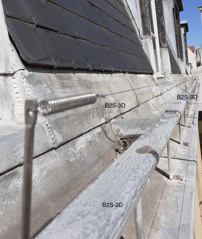 DEVELOPPEMENT DES ESPECES VOLATILES EN VILLE - LES PIGEONS DEVELOPPEMENT DES ESPECES VOLATILES EN VILLE - LES PIGEONS